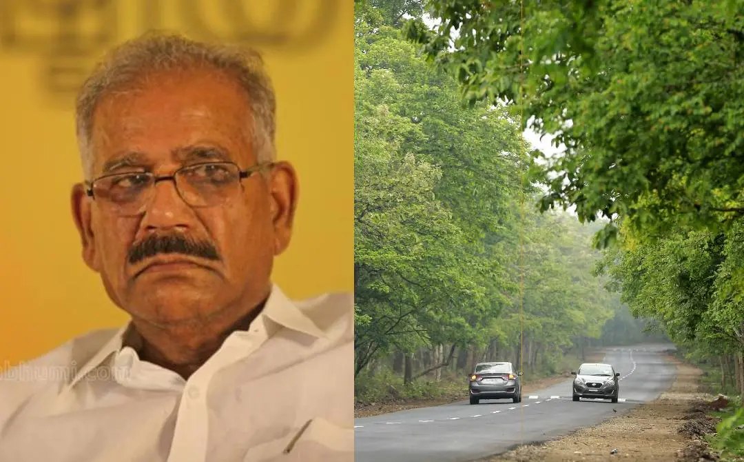എ.കെ ശശീന്ദ്രൻ, ബന്ദിപൂർ വനമേഖലിയിലൂടെ കടന്നു പോകുന്ന ദേശിയപാത 766| ഫോട്ടോ: Mathrubhumi