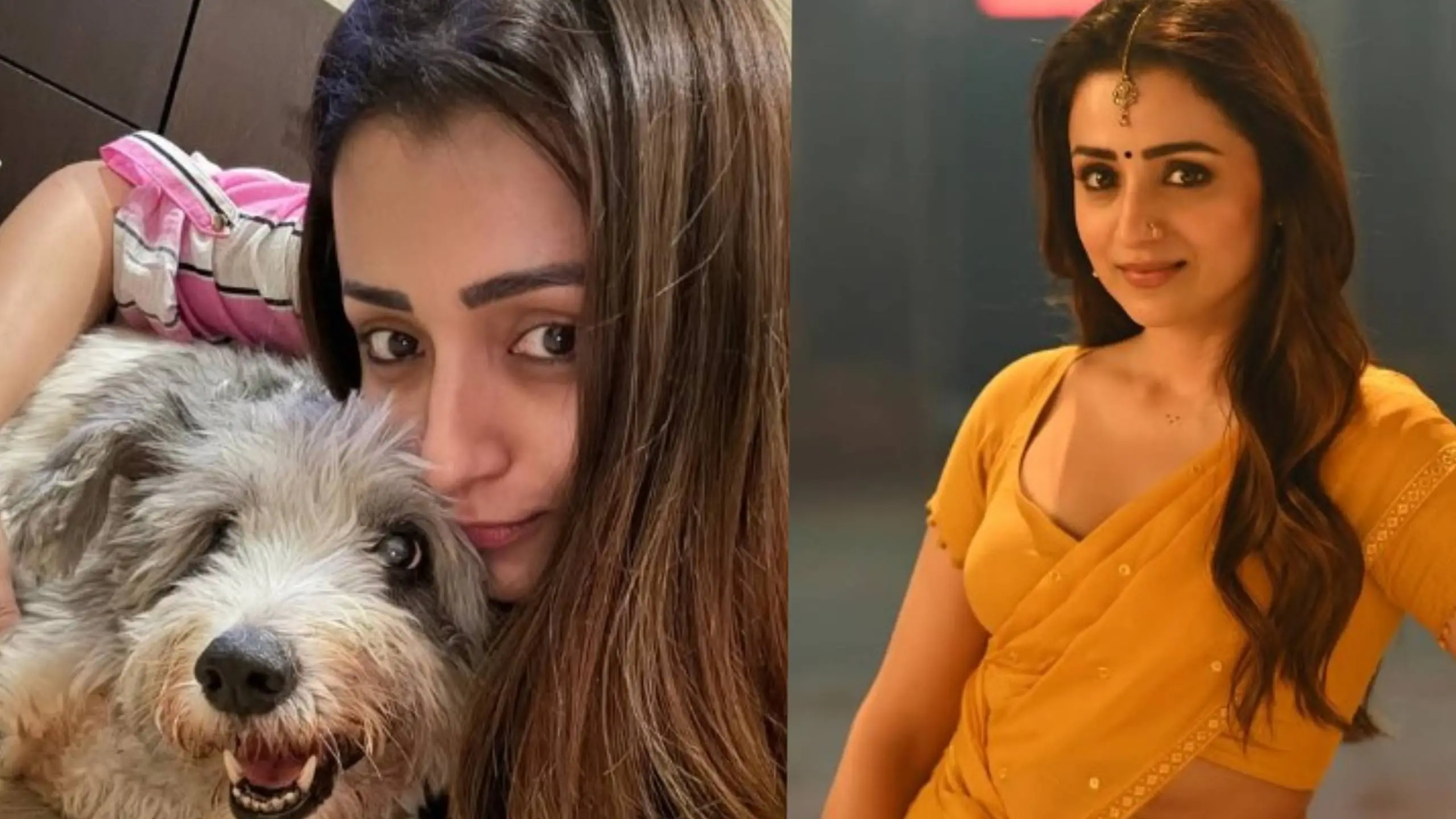 trisha|photo:instagram.com/trishakrishnan/