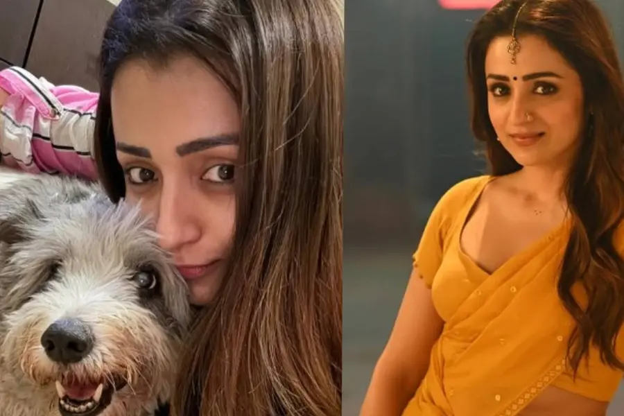 ഹാക്കിങ്ങിനിരയായി നടി തൃഷയും, എക്സിലെ പോസ്റ്റുകൾ ശ്രദ്ധിക്കരുതെന്ന് താരം