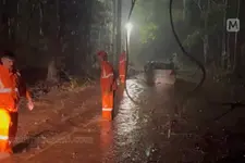 ഗൂഗിൾ മാപ്പ് ചതിച്ചു; കോളേജ് അധ്യാപകർ വനത്തിൽ കുടുങ്ങി; രക്ഷകരായി ഫയർഫോഴ്സ്