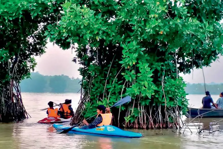 സിനിമാക്കാരുടെ ഇഷ്ട ലൊക്കേഷൻ; മനംമയങ്ങും, ഈ മരതകത്തുരുത്തിൽ