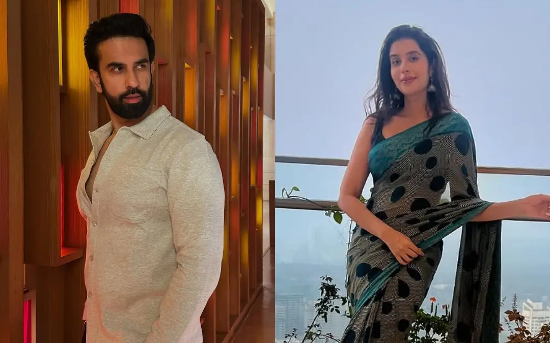 രാജീവ് സെന്, ചാരു അസോപ | Photo: Instagram/ Rajeen Sen, Charu Asopa