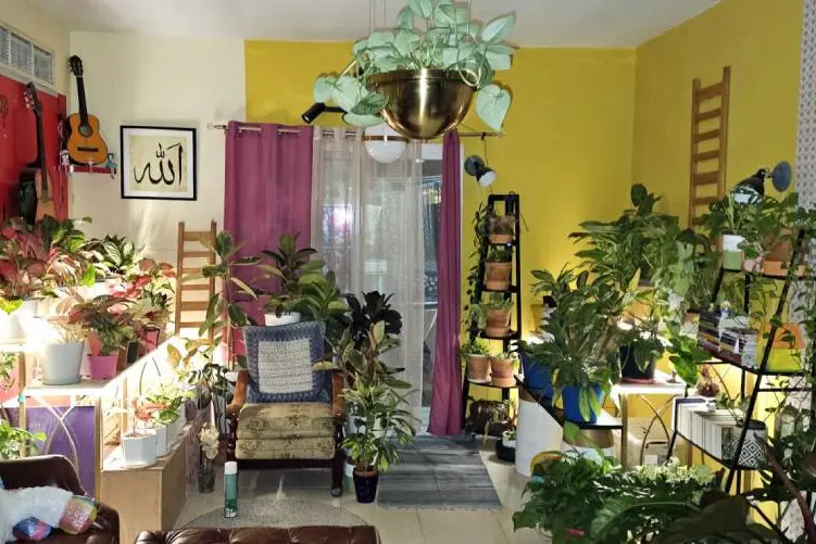 അകത്തളത്തിലെ ചെടിസമൃദ്ധിക്ക് സര്ക്കാര് പുരസ്കാരം