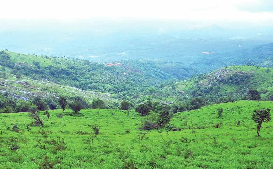 കൊടികുത്തിമല| ഫോട്ടോ: mathrubhumi