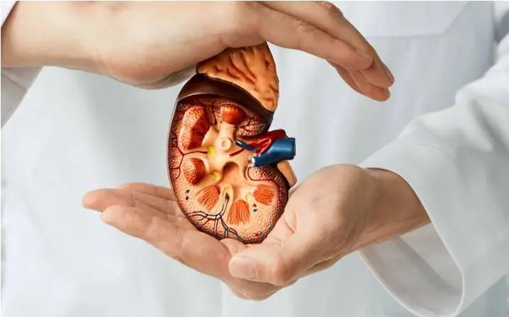 Representative Image| Photo: Canva.com