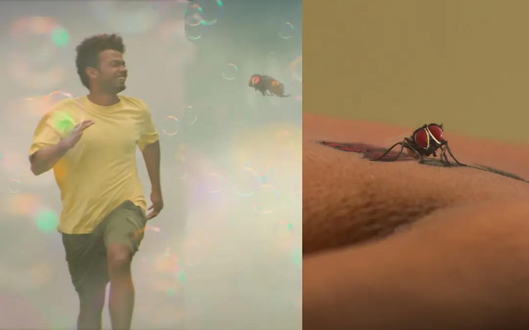 ലൗലിയുടെ ട്രെയിലറിൽ നിന്ന്