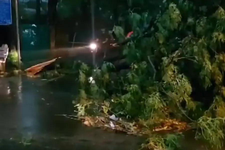 ഡല്ഹിയില് കനത്ത മഴ;വീടിന് മുകളിൽ മരംവീണ് നാല് മരണം, വിമാനസര്വീസുകള് താറുമാറായി