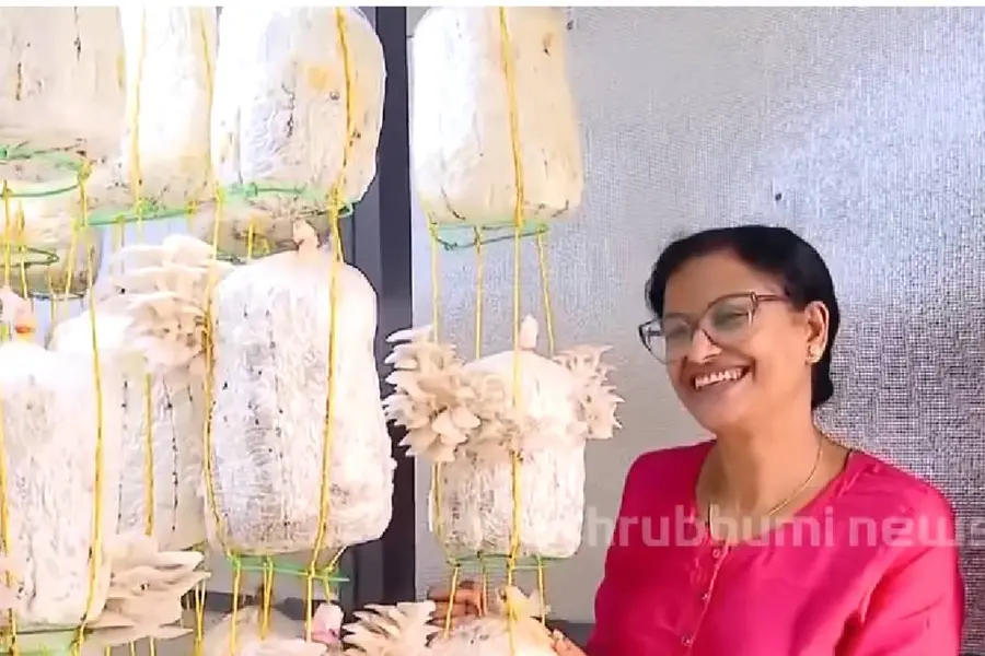 അധ്യാപനത്തിൽ നിന്ന് കൂൺ കൃഷിയിലേക്ക്; കയ്യിലൊതുങ്ങുന്ന കൃഷി, വിപണി അറിയണം, എല്ലാ ദിവസവും വരുമാനം