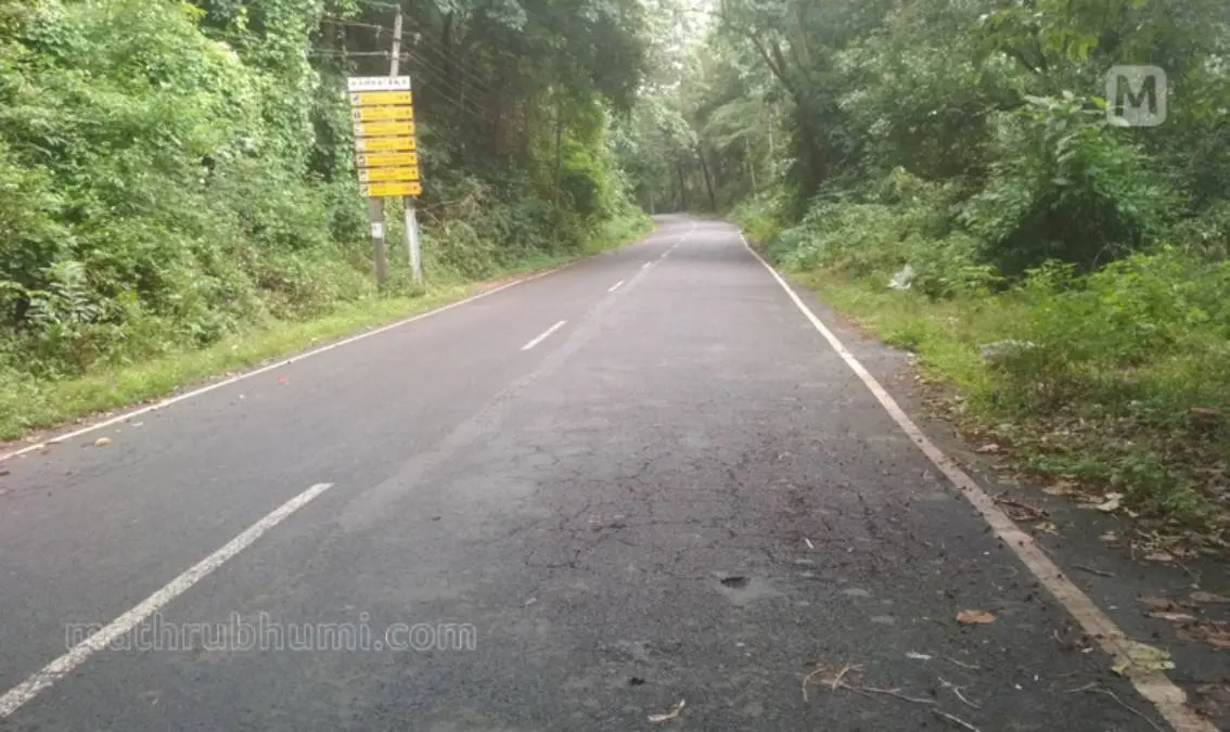 മാക്കൂട്ടം ചുരം റോഡ് | ഫോട്ടോ: മാതൃഭൂമി