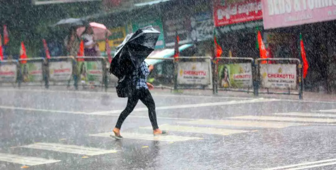 മഴ ചിത്രം |ഫോട്ടോ:മാതൃഭൂമി