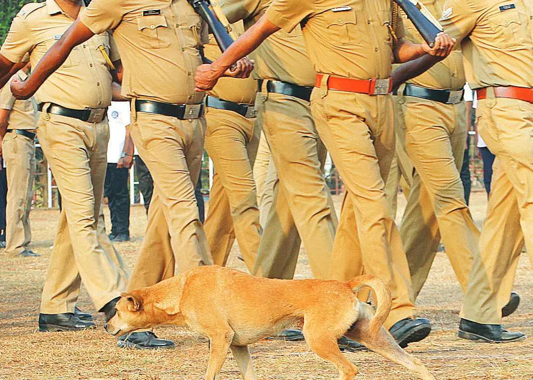 പ്രതീകാത്മക ചിത്രം |ഫോട്ടോ:മാതൃഭൂമി
