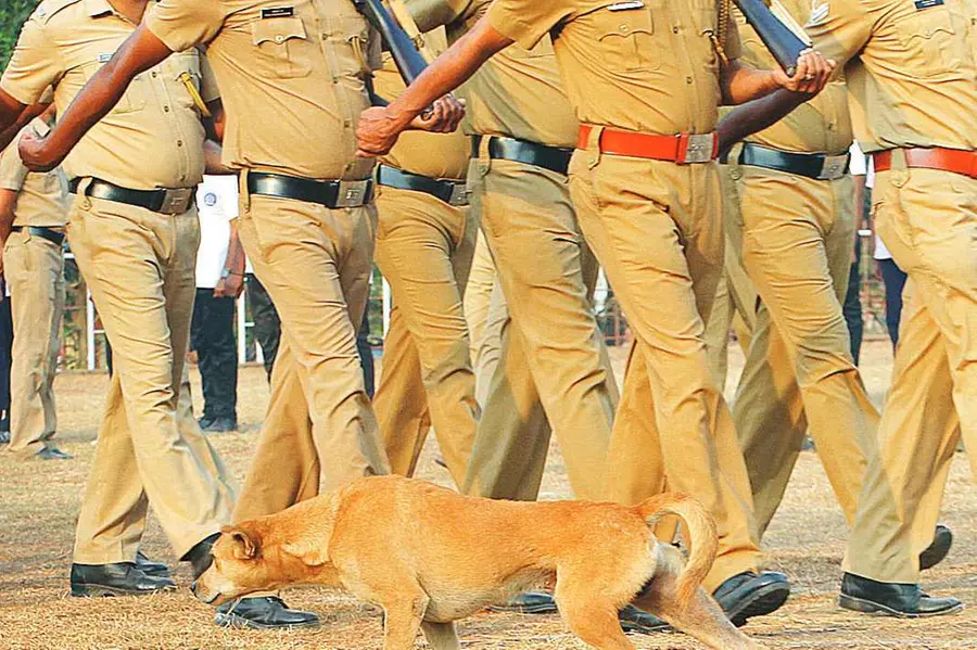 പരാതി അന്വേഷിക്കാനെത്തിയ എസ്ഐയുടെ കാലിൽ പ്രതി കടിച്ചു; സിപിഒയെ പട്ടിയെക്കൊണ്ട് കടിപ്പിച്ചു