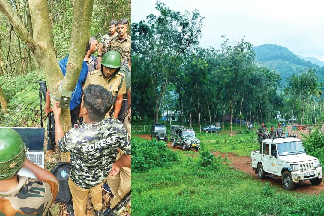 കടുവയെ കണ്ടെത്താൻ മലയിൽ സ്ഥാപിച്ച ക്യാമറ പരിശോധിക്കുന്നു,കടുവയ്ക്കായുള്ള തിരച്ചിലിനുശേഷം മടങ്ങിവരുന്ന വനപാലകസംഘം | ഫോട്ടോ: അജിത് ശങ്കരൻ
