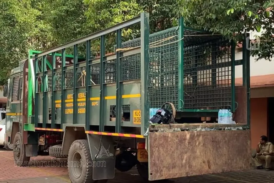 നരഭോജി കടുവ ക്യാമറയിൽ പതിഞ്ഞു; ദൗത്യത്തിനിടെ നിലമ്പൂര് സൗത്ത് ഡിഎഫ്ഒയ്ക്ക് സ്ഥലംമാറ്റം
