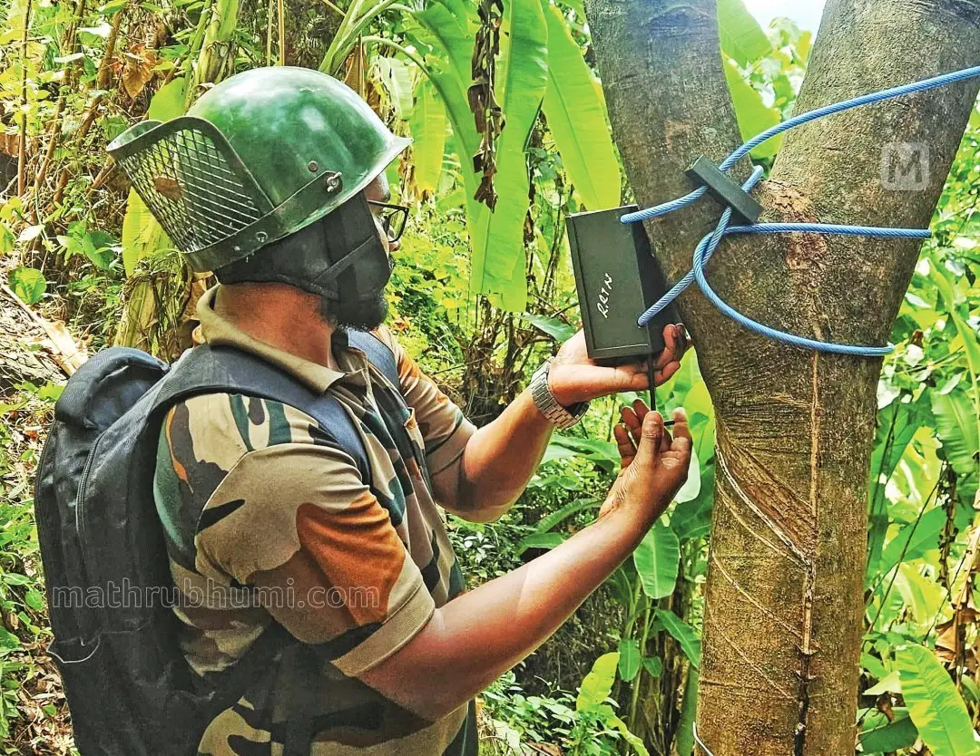 വന്യമൃഗസാന്നിധ്യം കണ്ടെത്താനായി റബ്ബര്ത്തോട്ടത്തില് ക്യാമറ സ്ഥാപിക്കുന്നു