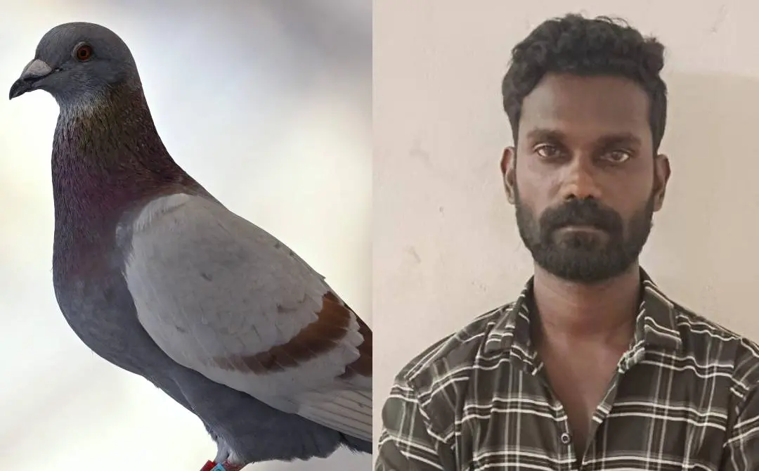 പ്രതീകാത്മക ചിത്രം(ഇടത്ത്) പ്രതി രാജീവ്(വലത്ത്) | Photo: AFP & Mathrubhumi