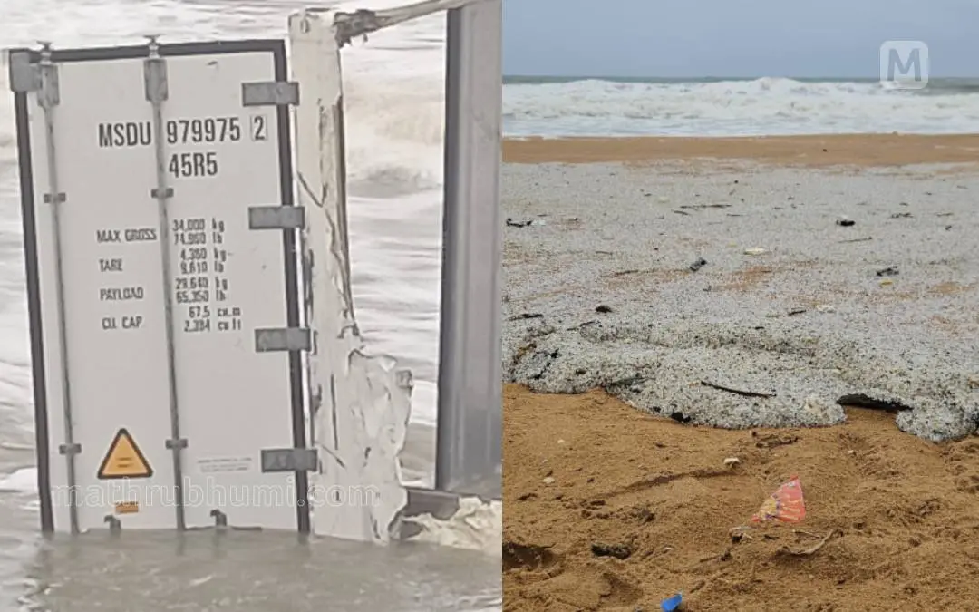 തീരത്തടിഞ്ഞ തകർന്ന കണ്ടെയ്നർ, പാപനാശത്തടിഞ്ഞ ഉപ്പുകല്ലുകൾ പോലുള്ള വസ്തുക്കൾ