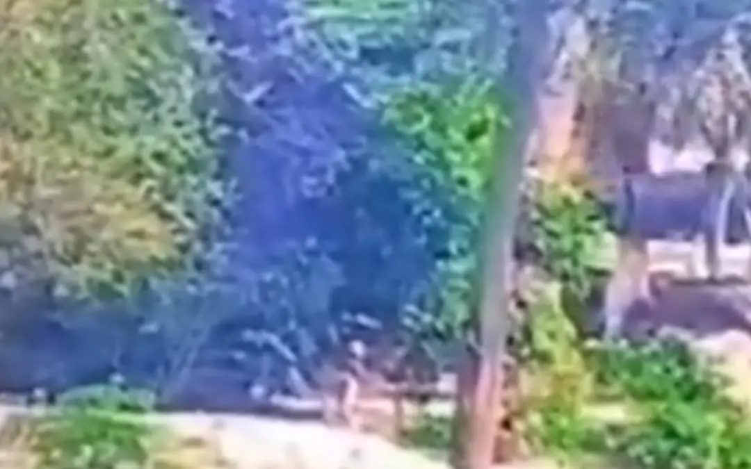 ഓപ്പറേഷന് സിന്ദൂറിനിടെയില് രക്ഷപ്പെട്ടോടുന്ന പാക് സൈനികർ, ബിഎസ്എഫ് പുറത്തുവിട്ട വീഡിയോയിൽ നിന്ന്