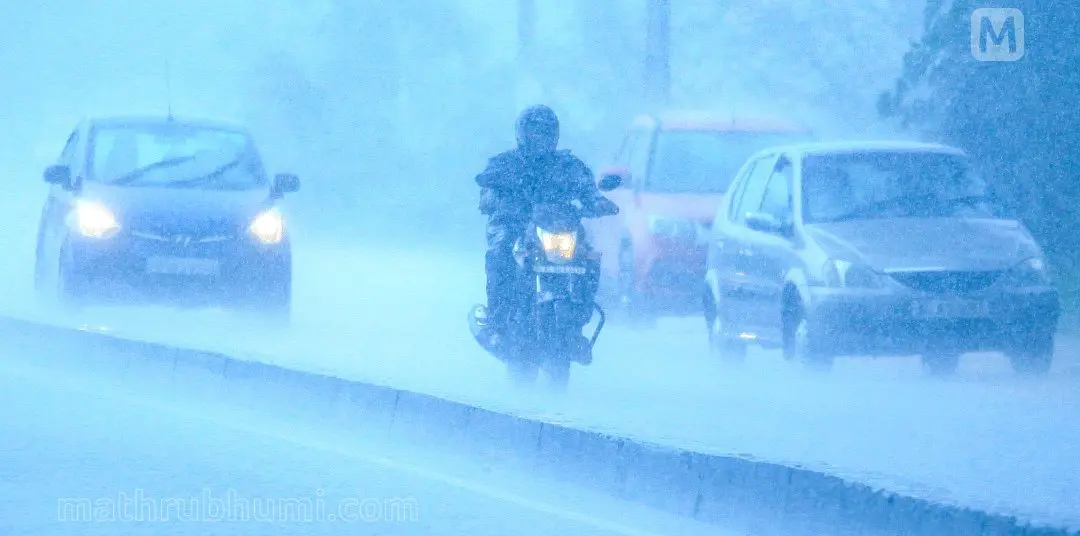 പ്രതീകാത്മകചിത്രം- ഫോട്ടോ: മാതൃഭൂമി
