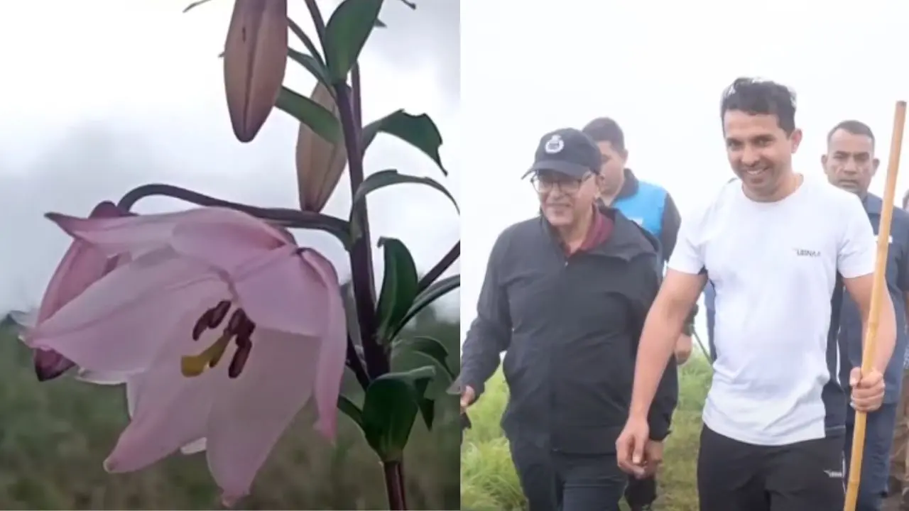 ഷിരൂയ് ലില്ലി | ജില്ലാ കളക്ടര്‍ ആശിഷ് ദാസ് മണിപ്പൂർ ഗവര്‍ണര്‍ അജയ് കുമാര്‍ ഭല്ലയ്ക്കൊപ്പം