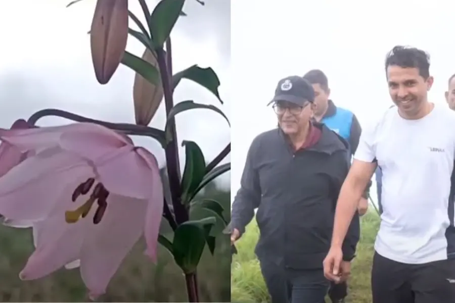 മണിപ്പൂർ കലാപത്തിന്റെ മുറിവുണക്കി ഷിരൂയ് ലില്ലി; രണ്ടുവർഷത്തിനുശേഷം കുക്കികളും മെയ്തികളും ഒരുവേദിയിൽ