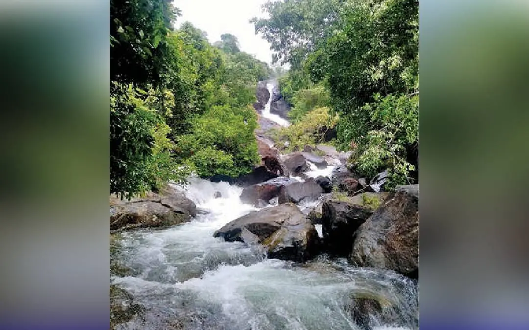 മീൻമുട്ടി വെള്ളച്ചാട്ടം