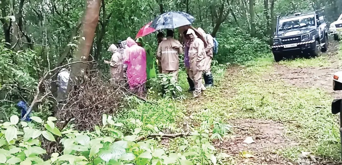 തെളിവ് ശേഖരിക്കാന്‍ പോലീസ്, ഫോറന്‍സിക്, വനംവകുപ്പ് സംഘങ്ങള്‍ ഉള്‍ക്കാട്ടിലേക്ക് പോകുന്നു