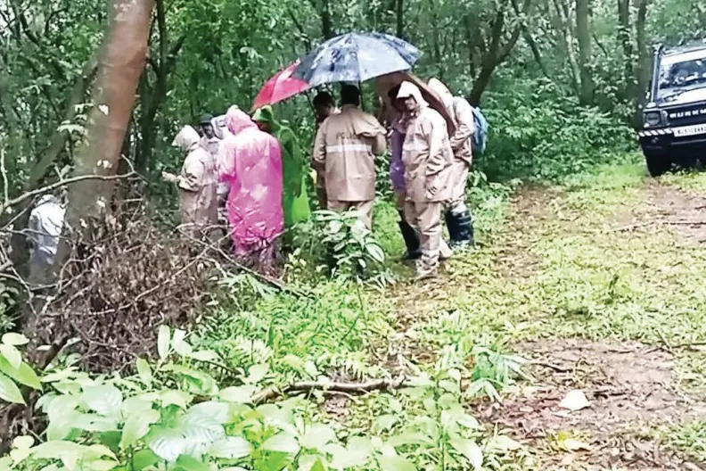 സീതയുടെ മരണം: സംഭവസ്ഥലത്ത് കാട്ടാനസാന്നിധ്യം സ്ഥിരീകരിച്ച് പോലീസ്, പ്രതിയാക്കാൻ ഗൂഢാലോചനയെന്ന് ബിനു