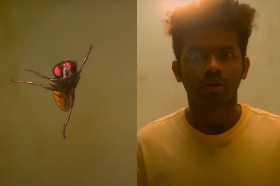 ഈച്ചയും മനുഷ്യരുമായുള്ള അപൂർവ ആത്മബന്ധത്തിന്റെ കഥ; ഹൈബ്രിഡ് ത്രീഡി ചിത്രം 'ലൗലി' നാളെ തീയേറ്ററുകളിൽ