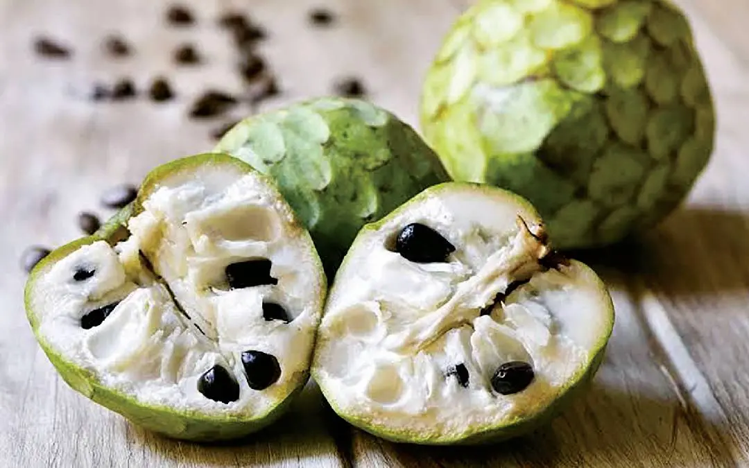 ചെറിമോയ