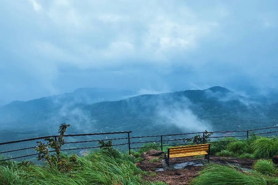 പച്ചപ്പുല്മേടുകള്ക്ക് പകരം വനം, കോടമഞ്ഞ് പേരിനുപോലുമില്ല; ടൂറിസം പ്രതാപം മങ്ങി പാലക്കയംതട്ട്