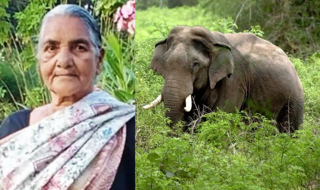 മേരി