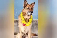 ഒട്ടേറെ പ്രമാദമായ കേസുകൾക്ക് തുമ്പുണ്ടാക്കി; ഒടുവിൽ വിശ്രമത്തിനായി മാളു ‘വിശ്രാന്തി’യിലേക്ക്
