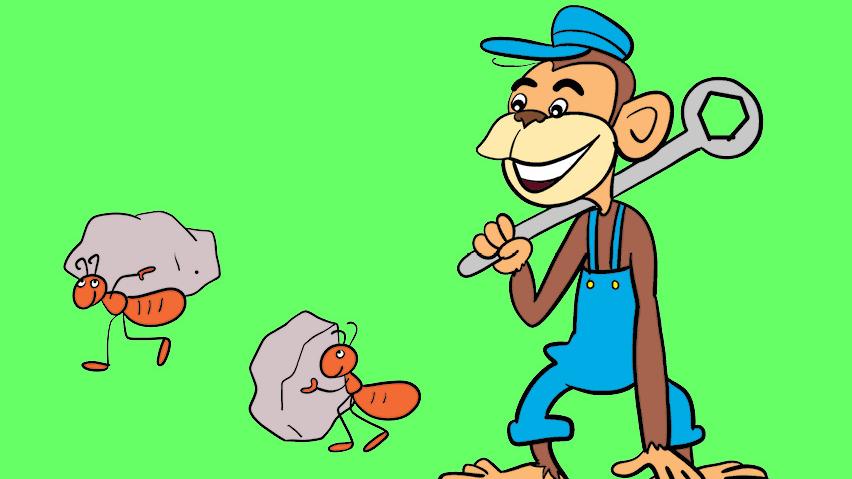 ചിരട്ടയും കമ്പും കല്ലും. അറിയാം ജീവിലോകത്തെ ‍ടൂൾ വിശേഷങ്ങൾ
