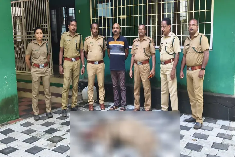 പന്നിപ്പടക്കംവെച്ച് കാട്ടുപന്നിയെ കൊന്ന് കടത്തി; അഭിഭാഷകനെ കാര് കുറുകേയിട്ട് പിടികൂടി വനംവകുപ്പ്