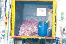 വിൽപ്പനയ്ക്കെത്തിച്ച 300 കിലോ പഴകിയ കോഴിയിറച്ചി പിടികൂടി
