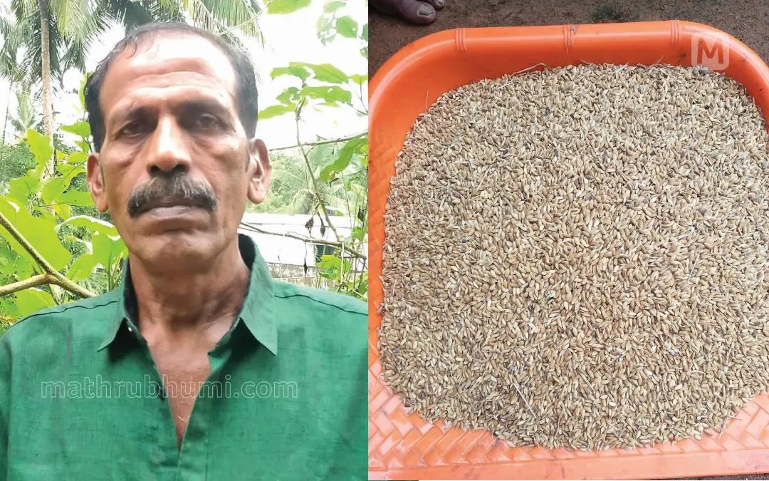 ശശിധരൻ, 'ഗോപിക' നെൻമണികൾ