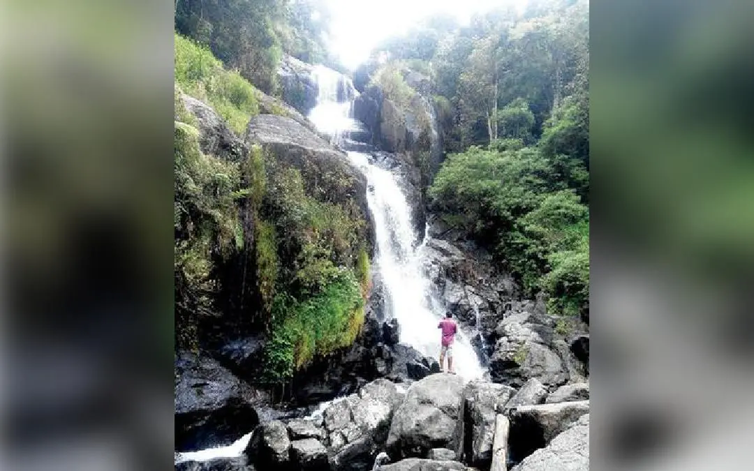 പുളിഞ്ഞാൽ മീൻമുട്ടി വെള്ളച്ചാട്ടം