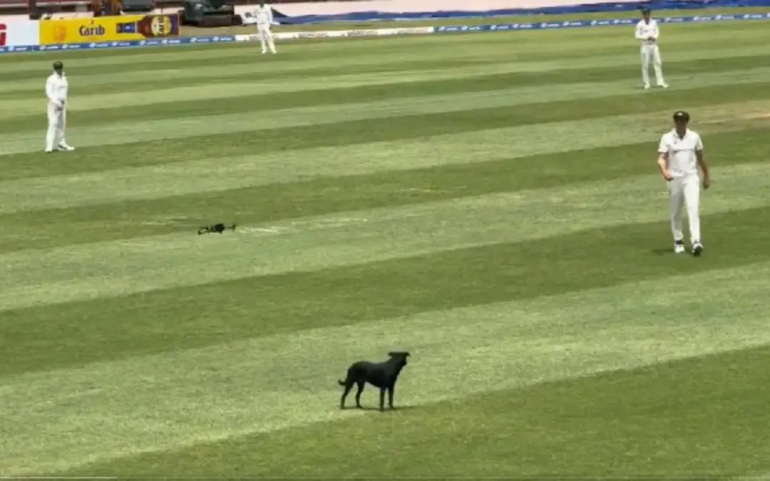 Photo: Screengrab/ x.com/windiescricket/