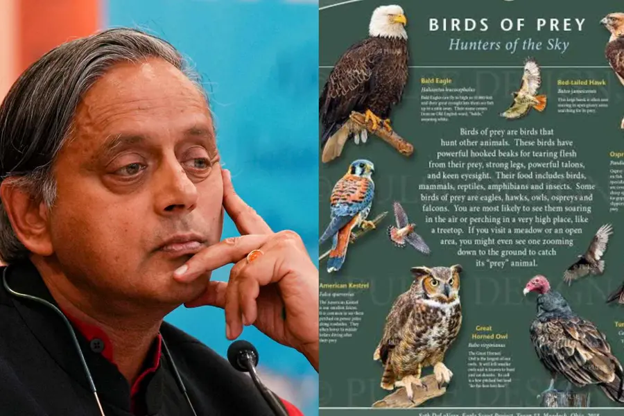 പറക്കുമ്പോൾ ആകാശം നിരീക്ഷിച്ച് പറക്കണം, വേട്ടയാടാൻ കഴുകന്മാരുണ്ടാകും; തരൂരിന് കോൺഗ്രസ് MPയുടെ മറുപടി