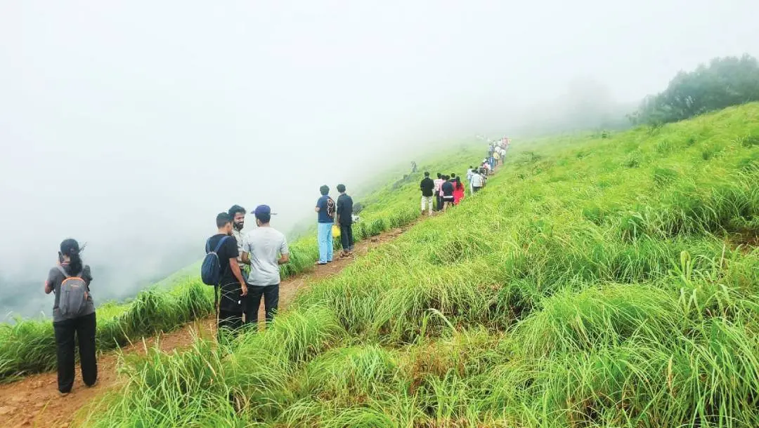 റാണിപുരം