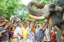 ഗജരാജ പ്രതാപികള്‍ക്കിനി ഇനി സുഖവാസക്കാലം; പുന്നത്തൂര്‍ ആനക്കോട്ടയില്‍ സുഖചികിത്സയ്ക്ക് തുടക്കം