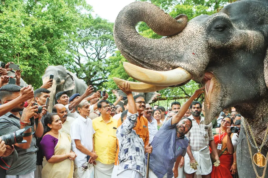 ഗജരാജ പ്രതാപികള്ക്കിനി ഇനി സുഖവാസക്കാലം; പുന്നത്തൂര് ആനക്കോട്ടയില് സുഖചികിത്സയ്ക്ക് തുടക്കം
