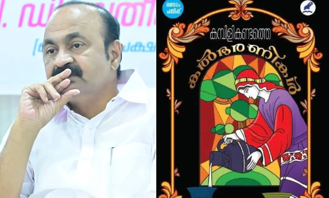 വി.ഡി സതീശൻ, പുസ്തകത്തിൻെറ കവർ
