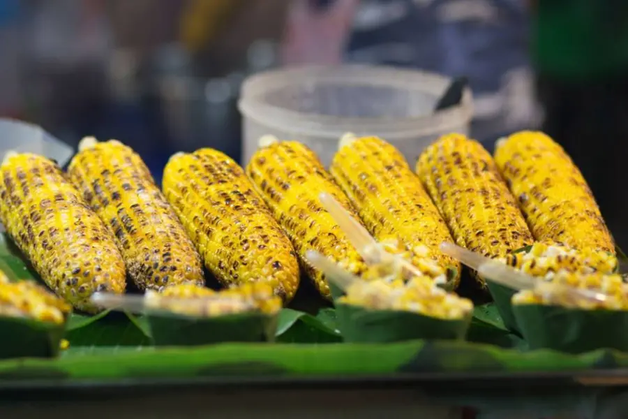 ശരീരഭാരം കൂടുമെന്ന് ഭയമേ വേണ്ട, മഴയുടെ തണുപ്പില് ചോളം ചൂടോടെ കഴിക്കാം