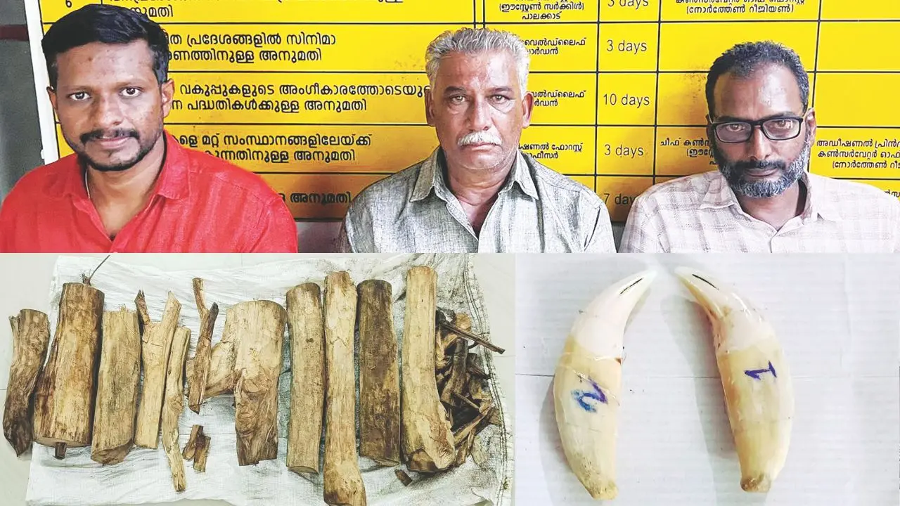 റിയാസ്, കൃഷ്ണമൂര്ത്തി, അബ്ദുള് സലാം, പിടിച്ചെടുത്ത ചന്ദനവും പുലിപ്പല്ലും