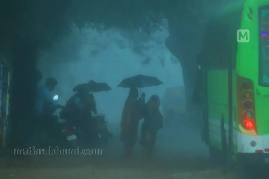 കനത്ത മഴ, റെഡ് അലേർട്ട്; വിവിധ ജില്ലകളിലെ വിദ്യാഭ്യാസ സ്ഥാപനങ്ങൾക്ക് തിങ്കളാഴ്ച അവധി