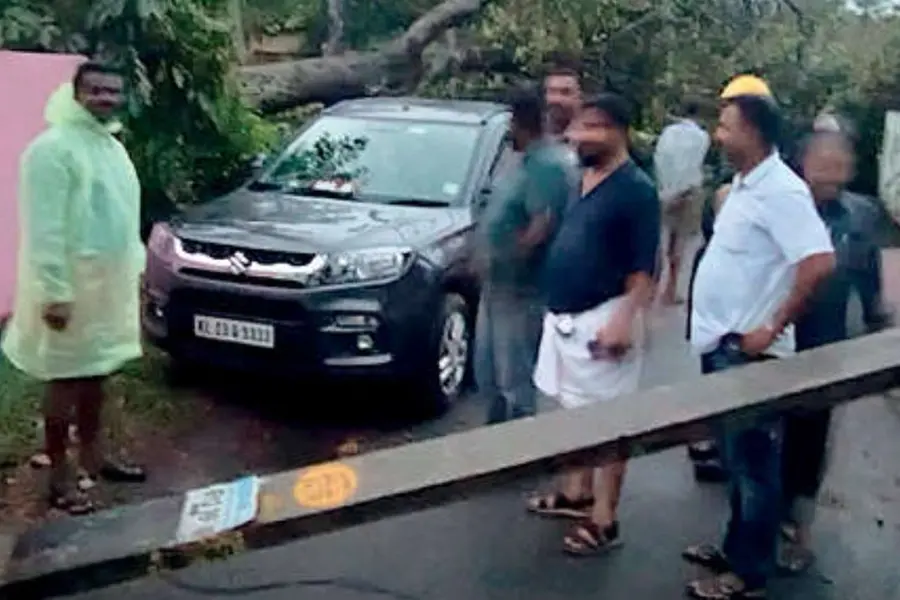 വൈദ്യുത തൂണും ആഞ്ഞിലിമരവും ഒടിഞ്ഞുവീണു; MLAയും കുട്ടികളും അദ്ഭുതകരമായി രക്ഷപ്പെട്ടു