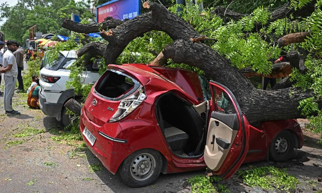 ഡൽഹിയിൽ കാറ്റിൽ മരം വീണ് കാർ തകർന്നപ്പോൾ| Photo by Sajjad HUSSAIN / AFP