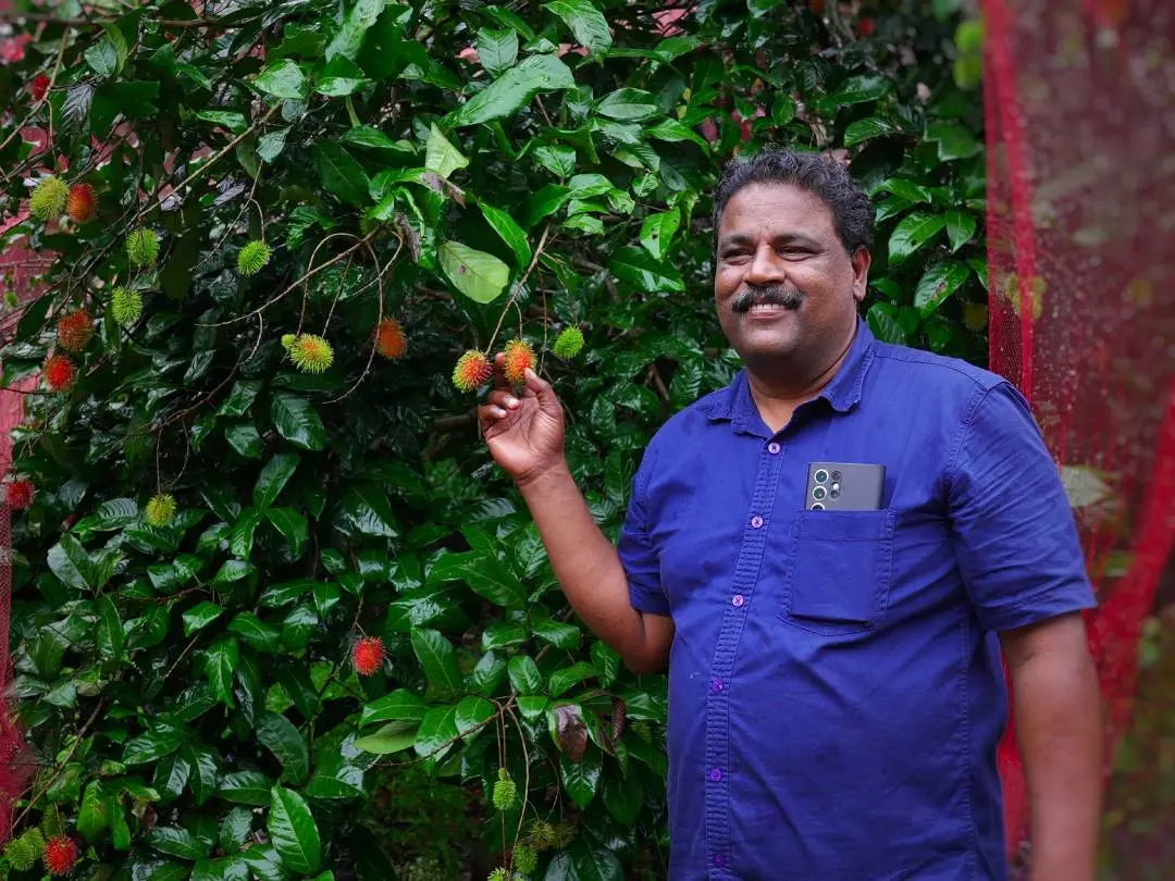 ബിജു നാരായണന്